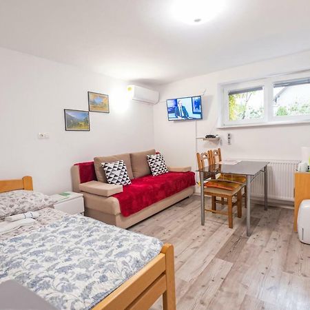 Newly Renovated Studio With Air Conditioner & Free Parking Lublana Zewnętrze zdjęcie